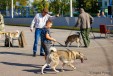Без названия