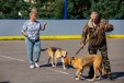 Без названия
