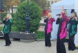 Без названия