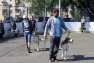 XII Межрегиональная Старорусская выставка охотничьих собак клуба собаководов «Колдун»