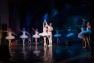 Московская труппа «Русский Национальный классический балет» в ЦК «Русич» с балетом «Лебединое озеро»
