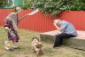 Без названия